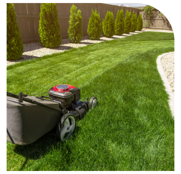 A lawn mower rests on a patch of green grass, showcasing its readiness for yard maintenance.
